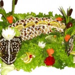 Фаршированная щука